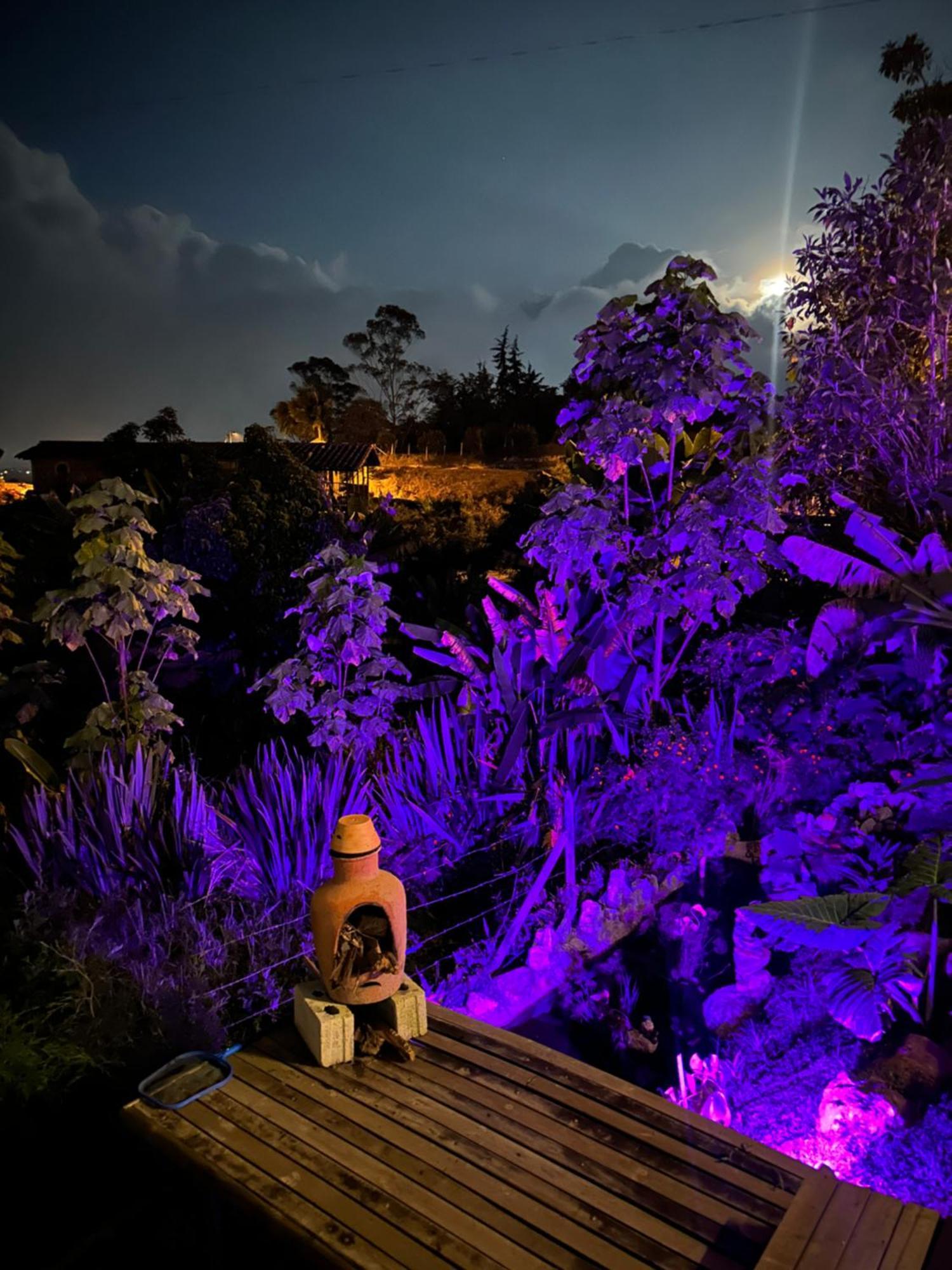 Cabanas Con Jacuzzi Y Chimenea - Casa Floral, Marinilla Extérieur photo
