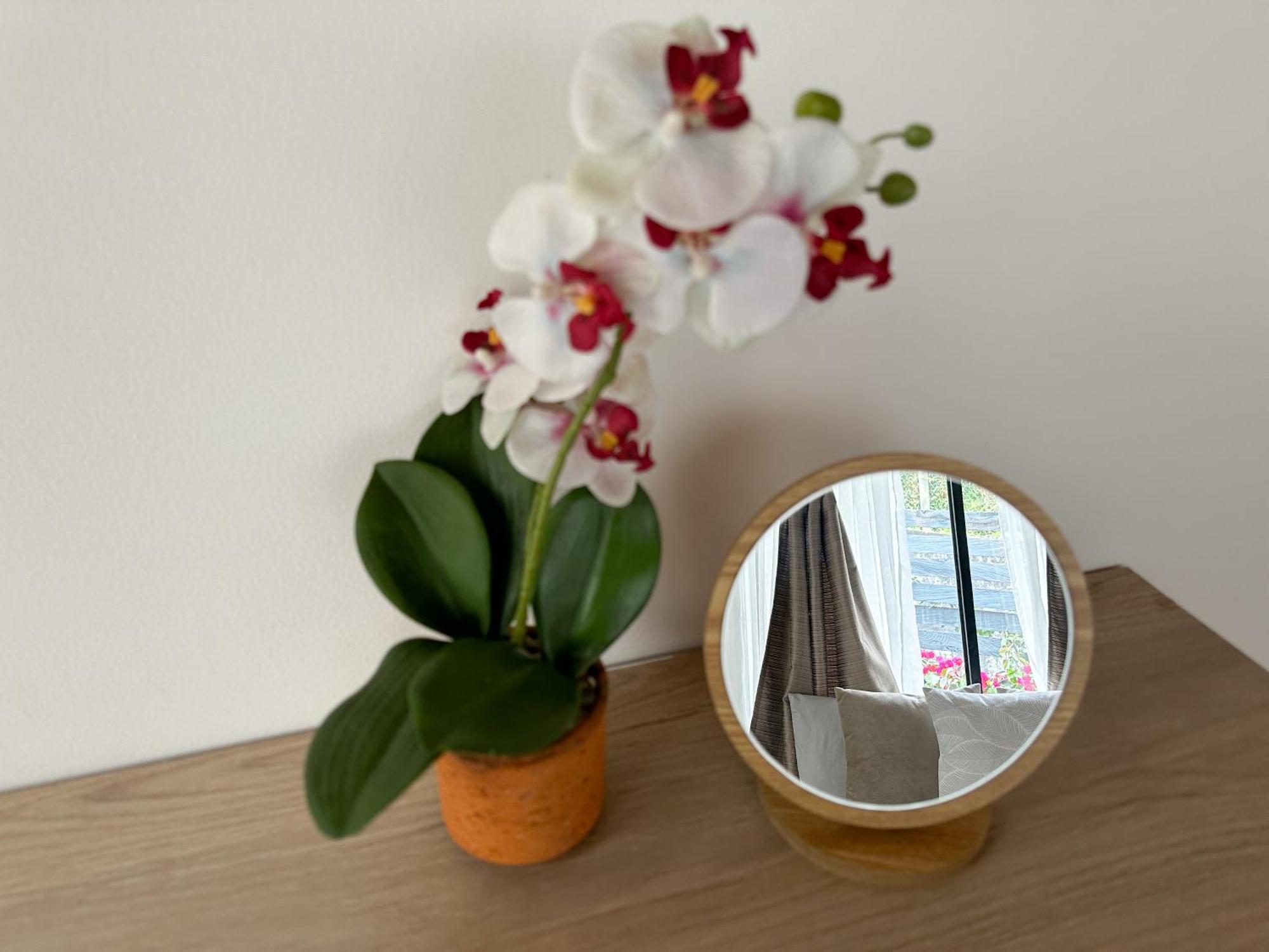 Cabanas Con Jacuzzi Y Chimenea - Casa Floral, Marinilla Extérieur photo